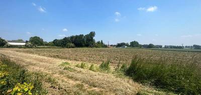 Terrain seul à Thélus en Pas-de-Calais (62) de 520 m² à vendre au prix de 85900€ - 3