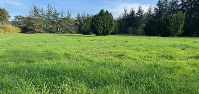 Terrain seul à Allan en Drôme (26) de 920 m² à vendre au prix de 179900€ - 3