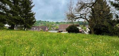 Terrain seul à Bendorf en Haut-Rhin (68) de 1500 m² à vendre au prix de 134000€ - 1