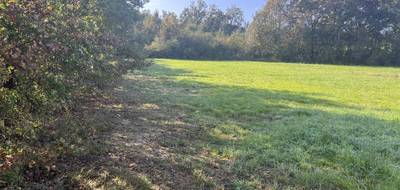 Terrain seul à Bressols en Tarn-et-Garonne (82) de 1017 m² à vendre au prix de 97000€ - 4