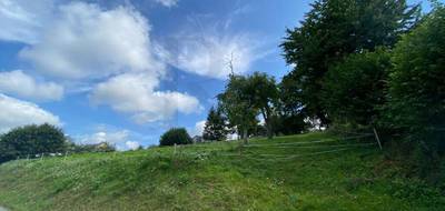 Terrain seul à Domfront en Poiraie en Orne (61) de 1866 m² à vendre au prix de 19800€ - 3