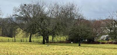 Terrain seul à Boisset en Cantal (15) de 3000 m² à vendre au prix de 32000€ - 2