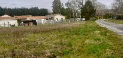 Terrain seul à Carcans en Gironde (33) de 788 m² à vendre au prix de 145000€ - 2