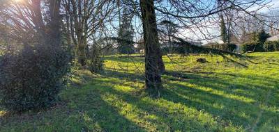 Terrain seul à Plassay en Charente-Maritime (17) de 1117 m² à vendre au prix de 39000€ - 2