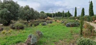 Terrain seul à Agde en Hérault (34) de 1320 m² à vendre au prix de 270000€ - 1