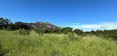 Terrain seul à Roquebrune-sur-Argens en Var (83) de 1150 m² à vendre au prix de 264900€ - 1