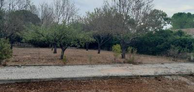 Terrain seul à Brignoles en Var (83) de 486 m² à vendre au prix de 139000€ - 3