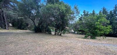 Terrain seul à Roquebrune-sur-Argens en Var (83) de 744 m² à vendre au prix de 260000€ - 3