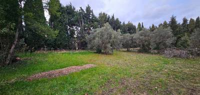 Terrain seul à Maussane-les-Alpilles en Bouches-du-Rhône (13) de 291 m² à vendre au prix de 166000€ - 2