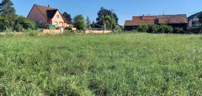 Terrain seul à Vogelgrun en Haut-Rhin (68) de 810 m² à vendre au prix de 129000€ - 2