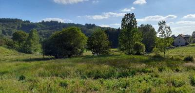 Terrain seul à Saint-Léger-la-Montagne en Haute-Vienne (87) de 2729 m² à vendre au prix de 23000€ - 2