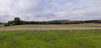 Terrain seul à Martres-Tolosane en Haute-Garonne (31) de 3000 m² à vendre au prix de 43000€ - 1