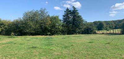 Terrain seul à Dormelles en Seine-et-Marne (77) de 626 m² à vendre au prix de 85000€ - 4