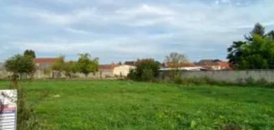 Terrain seul à Flines-lez-Raches en Nord (59) de 550 m² à vendre au prix de 65000€ - 1