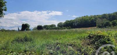 Terrain seul à Bonrepos en Hautes-Pyrénées (65) de 2326 m² à vendre au prix de 25000€ - 2