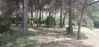 Terrain seul à Sanary-sur-Mer en Var (83) de 500 m² à vendre au prix de 540000€ - 4