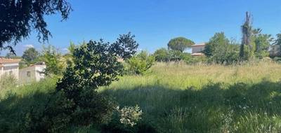 Terrain seul à Pélissanne en Bouches-du-Rhône (13) de 746 m² à vendre au prix de 312000€ - 1