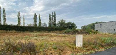 Terrain seul à Mérignies en Nord (59) de 486 m² à vendre au prix de 165000€ - 1