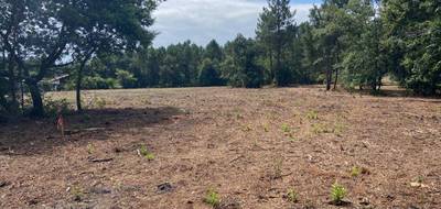 Terrain seul à Pontenx-les-Forges en Landes (40) de 265 m² à vendre au prix de 57500€ - 1