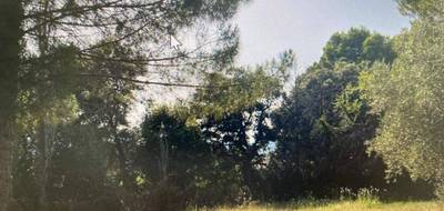 Terrain seul à Le Pouget en Hérault (34) de 1001 m² à vendre au prix de 244900€ - 1