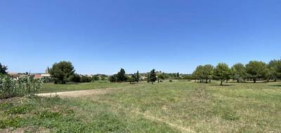 Terrain seul à Saint-Pargoire en Hérault (34) de 300 m² à vendre au prix de 95000€ - 4