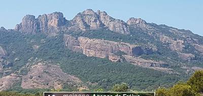 Terrain seul à Roquebrune-sur-Argens en Var (83) de 693 m² à vendre au prix de 290000€ - 3