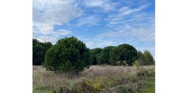 Terrain seul à Agde en Hérault (34) de 1320 m² à vendre au prix de 270000€ - 2