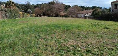 Terrain seul à Montferrier-sur-Lez en Hérault (34) de 530 m² à vendre au prix de 385000€ - 1