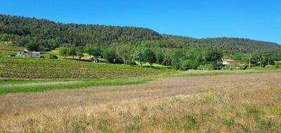 Terrain seul à Salernes en Var (83) de 1017 m² à vendre au prix de 145800€ - 2