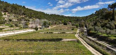 Terrain seul à Cotignac en Var (83) de 1260 m² à vendre au prix de 197000€ - 1