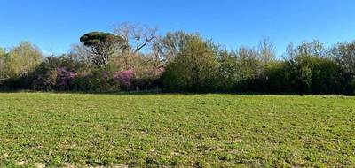 Terrain seul à Labastide-d'Anjou en Aude (11) de 557 m² à vendre au prix de 66840€ - 3