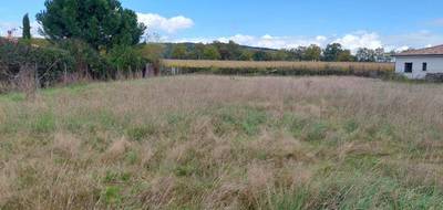 Terrain seul à Buzet-sur-Tarn en Haute-Garonne (31) de 1800 m² à vendre au prix de 115000€ - 2