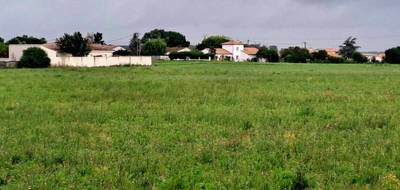 Programme terrain + maison à Saint-Georges-de-Didonne en Charente-Maritime (17) de 75 m² à vendre au prix de 231210€ - 3