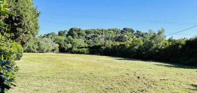 Terrain seul à Mougins en Alpes-Maritimes (06) de 1500 m² à vendre au prix de 590000€ - 2