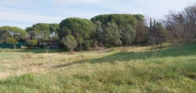 Terrain seul à Roquebrune-sur-Argens en Var (83) de 887 m² à vendre au prix de 280000€ - 2