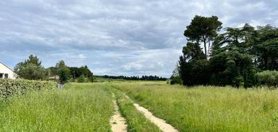 Terrain seul à Domazan en Gard (30) de 455 m² à vendre au prix de 119500€ - 2