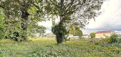 Terrain seul à Crêches-sur-Saône en Saône-et-Loire (71) de 831 m² à vendre au prix de 79000€ - 1