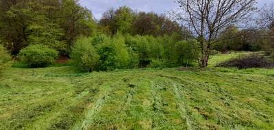 Terrain seul à Chaptelat en Haute-Vienne (87) de 1219 m² à vendre au prix de 49500€ - 1