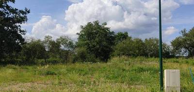 Terrain seul à Bas-Mauco en Landes (40) de 588 m² à vendre au prix de 48500€ - 1