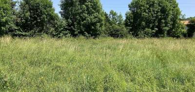 Terrain seul à Saint-Genès-Champanelle en Puy-de-Dôme (63) de 1500 m² à vendre au prix de 150000€ - 2