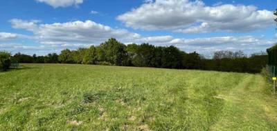 Terrain seul à Horsarrieu en Landes (40) de 2450 m² à vendre au prix de 48400€ - 1