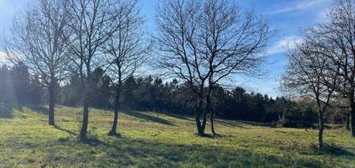 Terrain seul à Labouheyre en Landes (40) de 368 m² à vendre au prix de 49984€ - 1