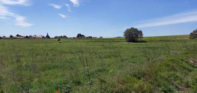 Terrain seul à Paraza en Aude (11) de 500 m² à vendre au prix de 65500€ - 1