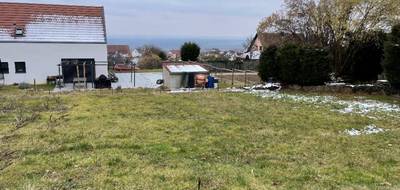 Terrain seul à Vœgtlinshoffen en Haut-Rhin (68) de 800 m² à vendre au prix de 266000€ - 3