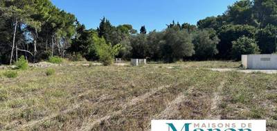 Terrain seul à Le Cannet en Alpes-Maritimes (06) de 1175 m² à vendre au prix de 340000€ - 2