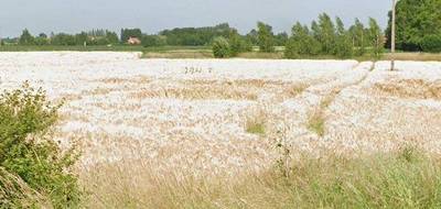 Terrain seul à Neuve-Chapelle en Pas-de-Calais (62) de 480 m² à vendre au prix de 89000€ - 2