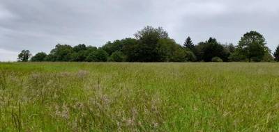 Terrain seul à Saint-Junien en Haute-Vienne (87) de 3373 m² à vendre au prix de 74500€ - 2