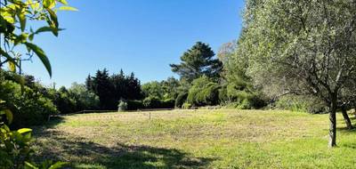 Terrain seul à Mougins en Alpes-Maritimes (06) de 1500 m² à vendre au prix de 590000€ - 1