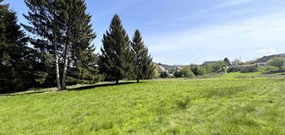 Terrain seul à Saales en Bas-Rhin (67) de 5935 m² à vendre au prix de 87900€ - 3