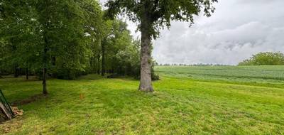 Terrain seul à Pin-Balma en Haute-Garonne (31) de 1046 m² à vendre au prix de 285000€ - 4